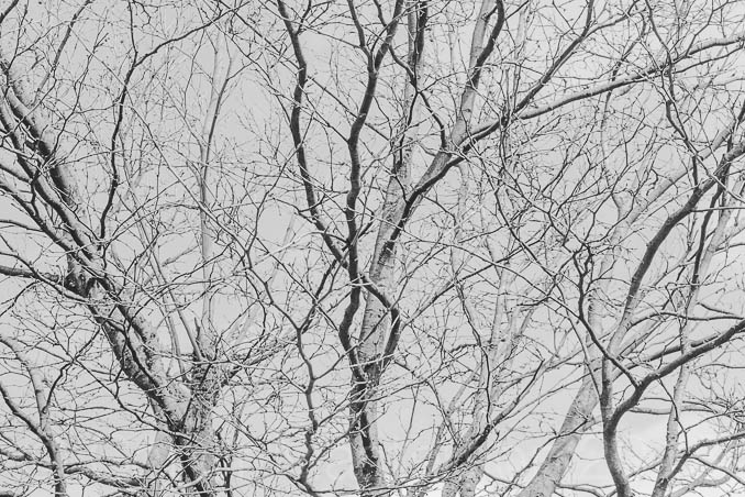 conorm_110328_1522