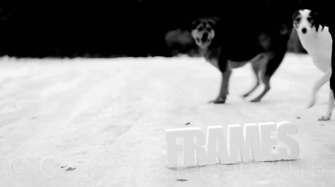 conorm_121125_8196