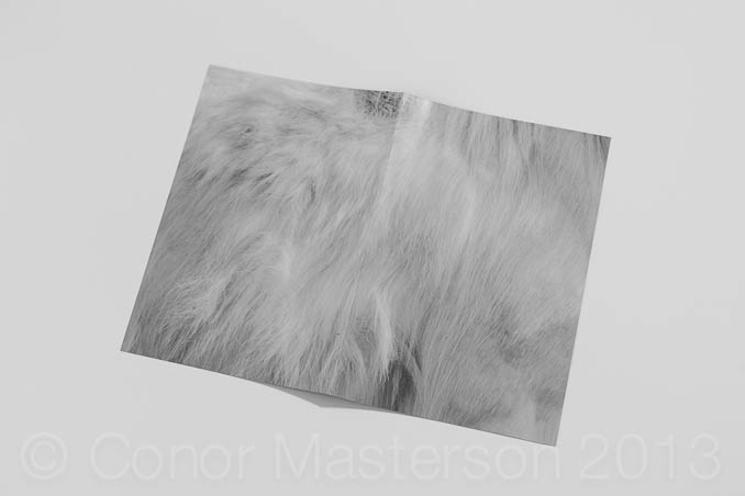 conorm_130526_1436