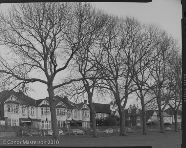 conorm_100304_0021