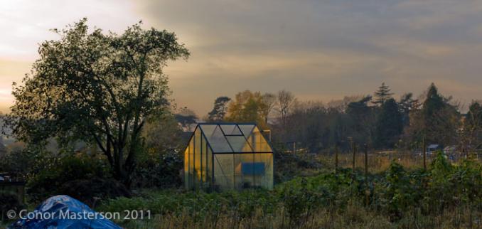 conorm_111120_8727-2