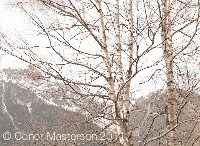conorm_100416_0202