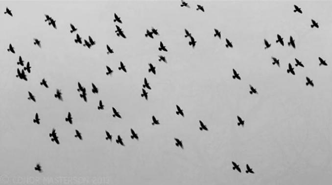 conorm_deep_shade_0108684px